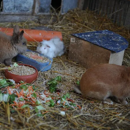 Bauernhof Koehlbrandt Feriegård