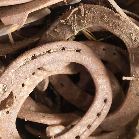 Bauernhof Koehlbrandt