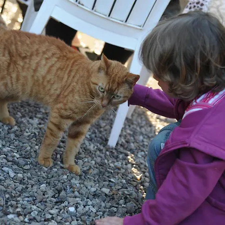 Feriegård Bauernhof Koehlbrandt Todendorf auf Fehmarn