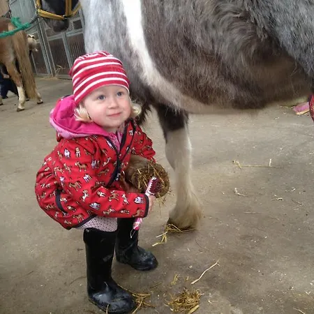 Bauernhof Koehlbrandt Feriegård
