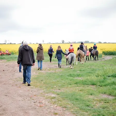 Bauernhof Koehlbrandt *