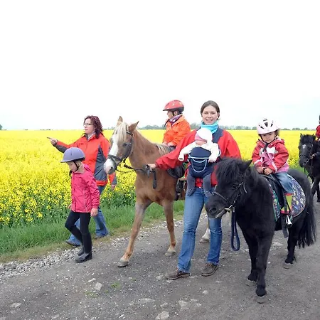 Bauernhof Koehlbrandt Todendorf auf Fehmarn