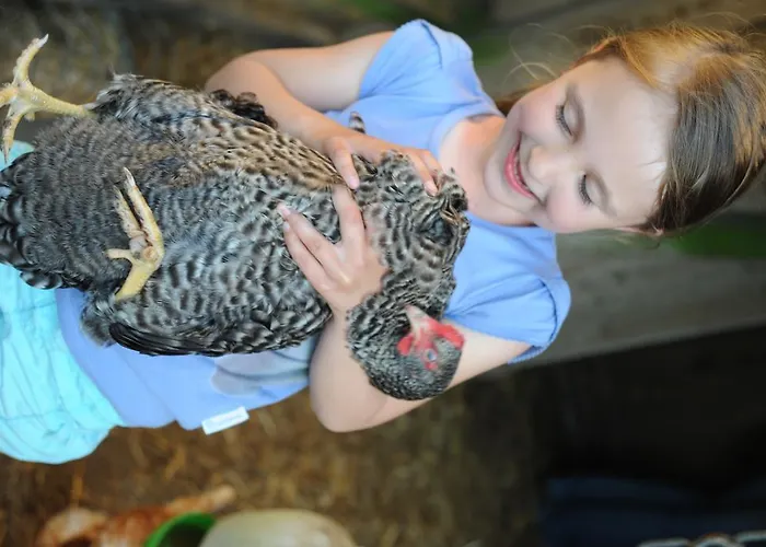 Feriegård Bauernhof Koehlbrandt